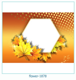 flower Photo frame 1878