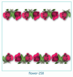 flower Photo frame 258