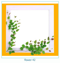 flower Photo frame 42