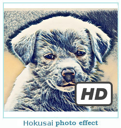 Prisma photo effect hokusai